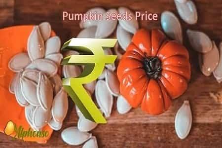 Pumpkin seeds price - AlphonsoMango.in