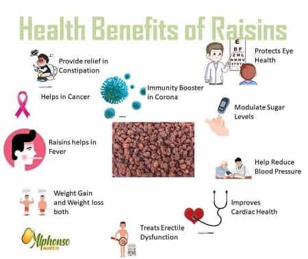 Raisins: Candied Wellness - AlphonsoMango.in