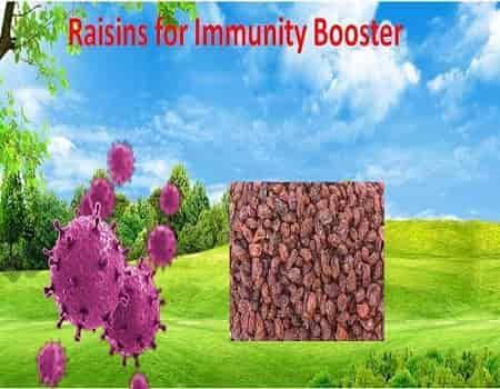 Raisins for Immunity - AlphonsoMango.in