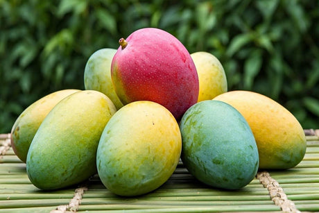 Ratnagiri Hapus Price Guide: Everything You Need to Know - AlphonsoMango.in