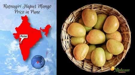 Ratnagiri Hapus Mango Price in Pune