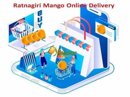 Ratnagiri Mango online Delivery - AlphonsoMango.in