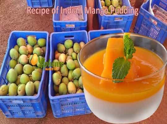 Recipe of Indian Mango Pudding - AlphonsoMango.in