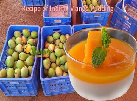 Recipe of Indian Mango Pudding - AlphonsoMango.in