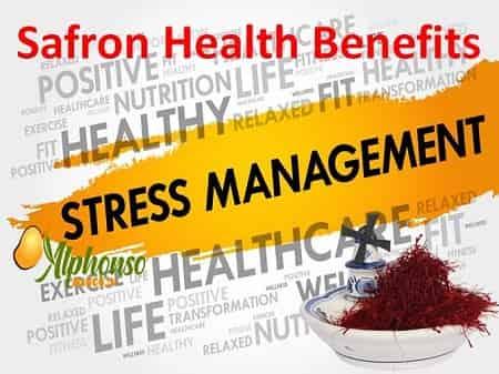 Saffron Health Benefits - AlphonsoMango.in