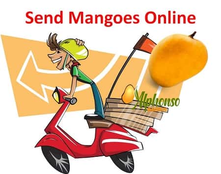 Send Mangoes Online: Mango Courier Service - AlphonsoMango.in