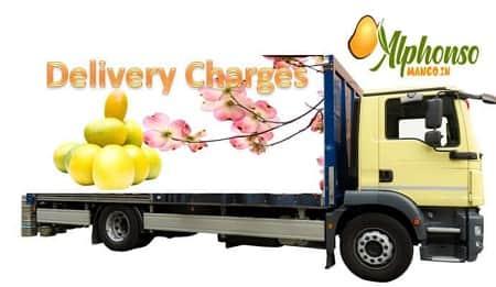 Shipping charges for Alphonso mangoes online ? - AlphonsoMango.in