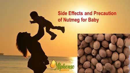 Side Effects and Precaution of Nutmeg for Baby - AlphonsoMango.in