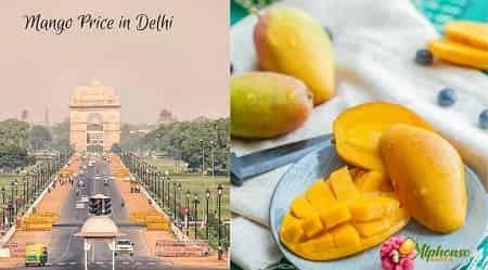 Mango Price In Delhi - AlphonsoMango.in