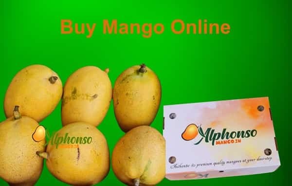 Buy Mangoes Online