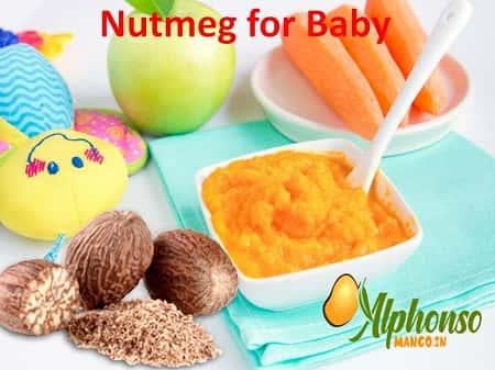 Jaiphal Nutmeg for baby - AlphonsoMango.in