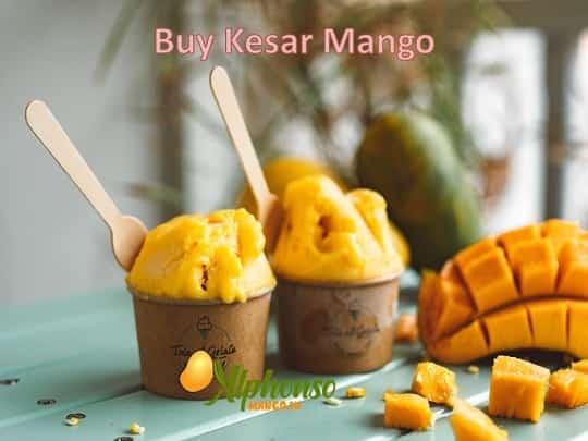 Where to Buy Authentic Kesar Mango? - AlphonsoMango.in