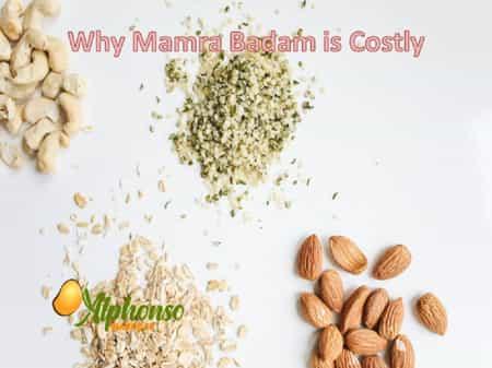 Why Mamra Badam is costly? - AlphonsoMango.in