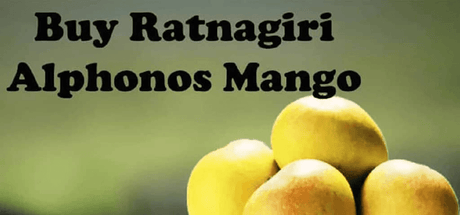 Buy Ratnagiri Alphonso Mango Online - AlphonsoMango.in