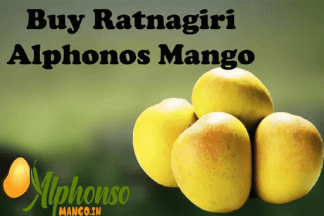 Buy Ratnagiri Alphonso Mango Online - AlphonsoMango.in