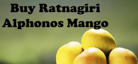 Buy_ratnagiri_alphonso_mango