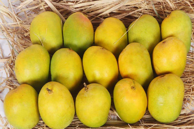 Devgad Hapus mango, known for its superior sweetness and aroma