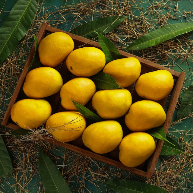 Ratnagiri Alphonso Mango Online - Alphonsomango.in