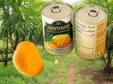 Alphonso Mango Pulp - AlphonsoMango.in