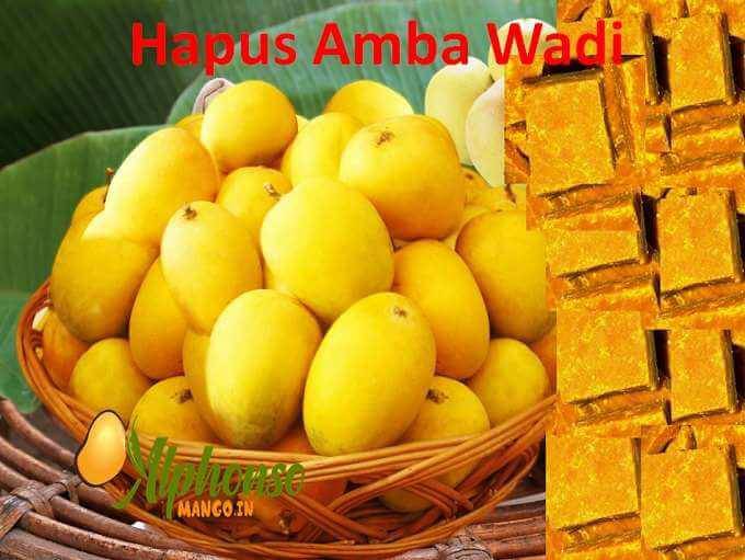 Buy Amba Wadi Online | Mango Barfi Online - AlphonsoMango.in