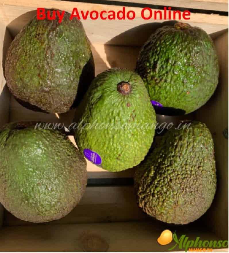 Buy Avocado Fruit | Online | Imported - AlphonsoMango.in