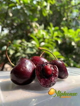 Imported Fresh Cherries online - Cherry Fruit - AlphonsoMango.in