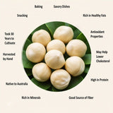 Buy Jumbo Macadamia Nuts Online - AlphonsoMango.in