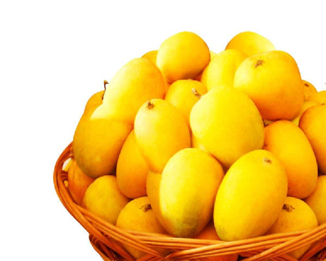 Ratnagiri Alphonso Mango (Ratnagiri Hapus Mango) - AlphonsoMango.in