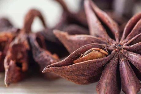 Star Anise | Chakra Phool buy Now Online with us - AlphonsoMango.in