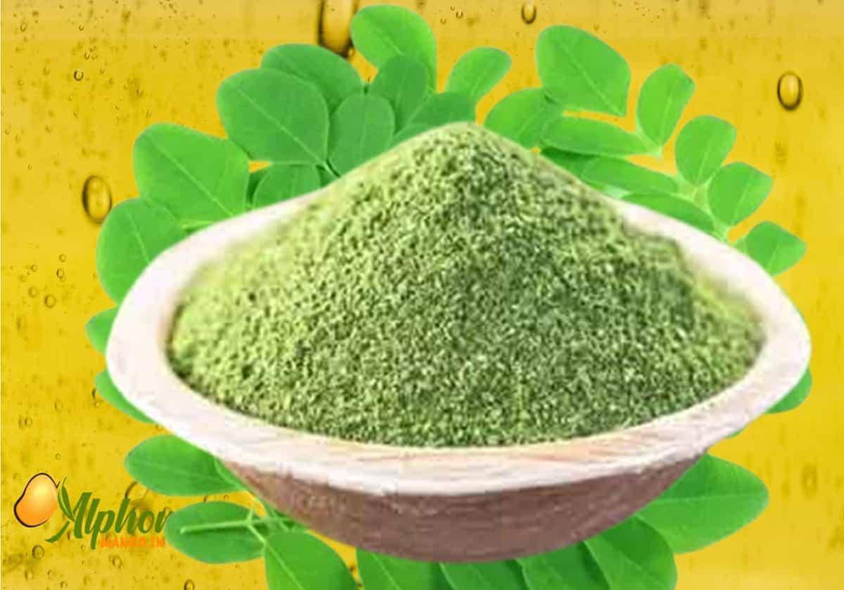 Shop Moringa Powder Online: Boost Your Health Naturally - AlphonsoMango.in