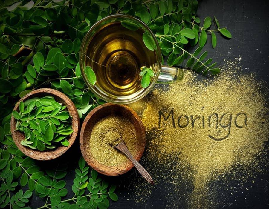 Shop Moringa Powder Online: Boost Your Health Naturally - AlphonsoMango.in