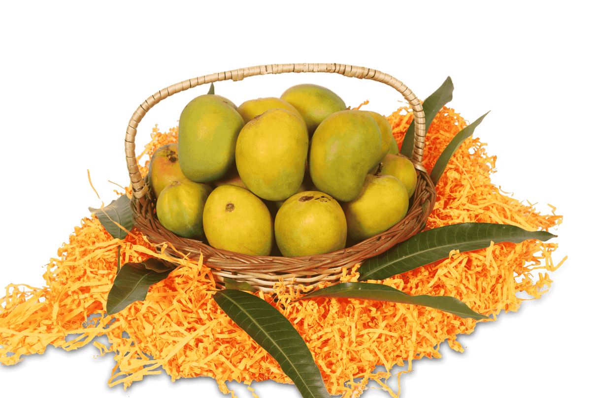 Buy Alphonso Mango Online: Hapus Amba Delivery - AlphonsoMango.in