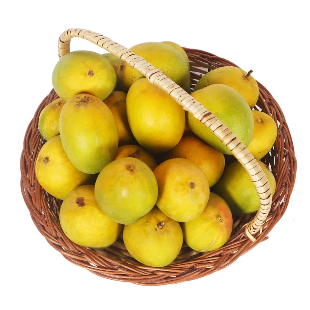 Buy Alphonso Mango Online: Hapus Amba Delivery - AlphonsoMango.in