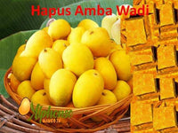 Thumbnail for Buy Amba Wadi Online | Mango Barfi Online - AlphonsoMango.in