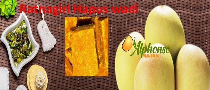 Buy Amba Wadi Online | Mango Barfi Online - AlphonsoMango.in