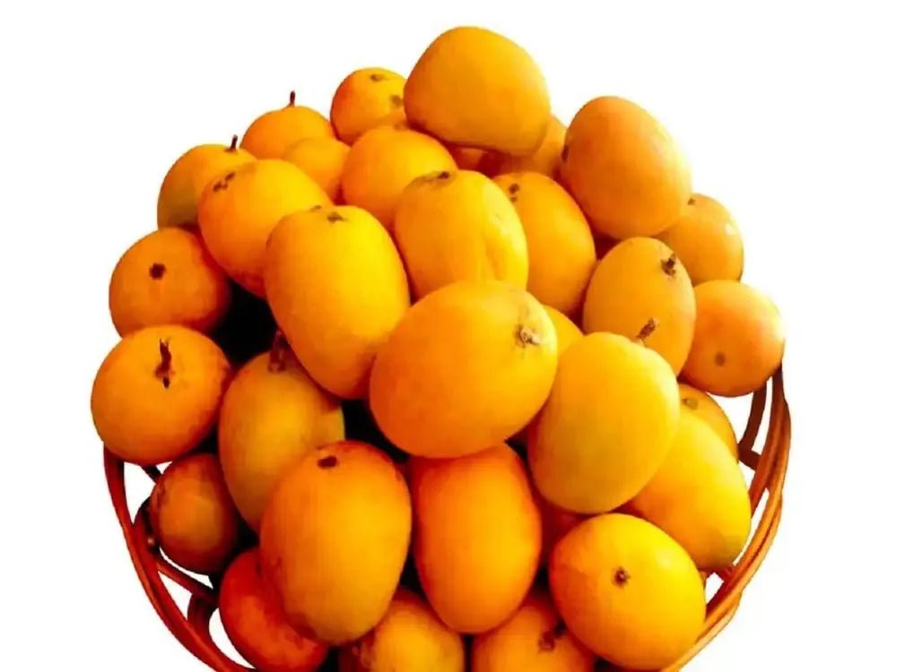 Send GI-tagged Ratnagiri Alphonso mango gift to India from USA UAE UK — AlphonsoMango.in