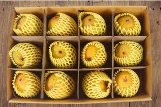 Buy Authentic Ratnagiri Alphonso Mango (GI Tagged Certified) Hapus Aam Ratnagiri Mango - AlphonsoMango.in