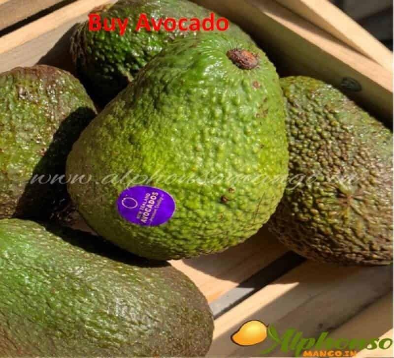 Buy Avocado Fruit | Online | Imported - AlphonsoMango.in