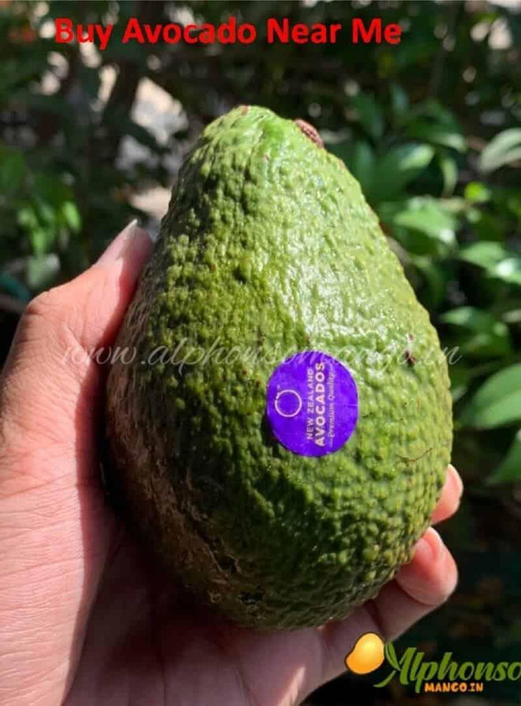 Buy Avocado Fruit | Online | Imported - AlphonsoMango.in