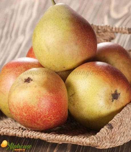 Buy Beauty Pear - AlphonsoMango.in