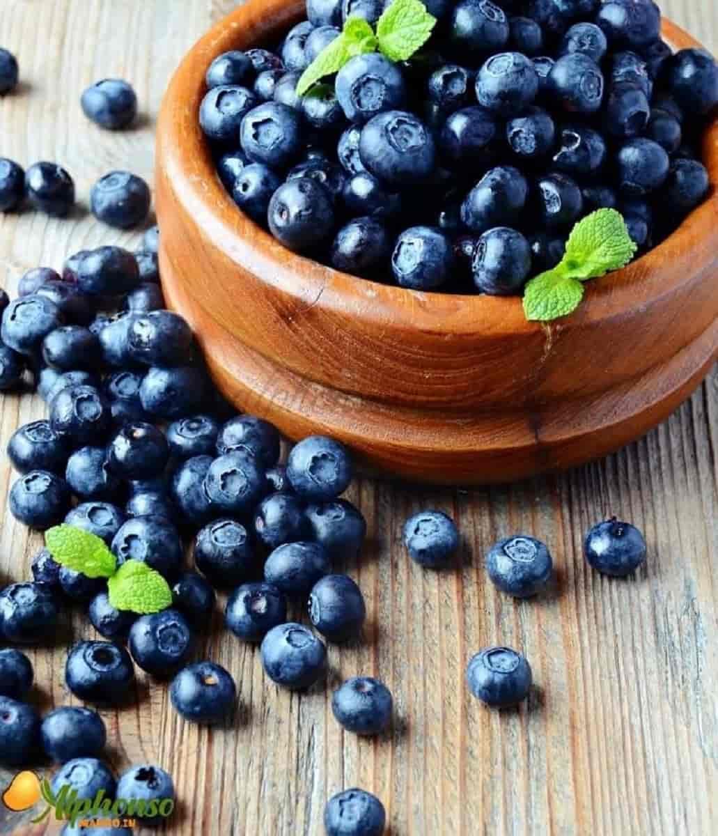 Buy Fresh Blueberries Online - AlphonsoMango.in