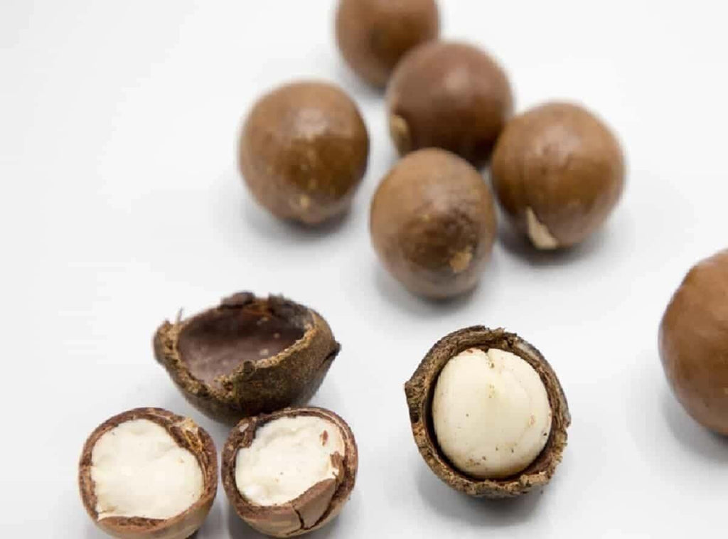 Buy Jumbo Macadamia Nuts Online - AlphonsoMango.in