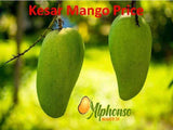 Buy Kesar Mango Online – Taste Gujarat's Saffron Gem - AlphonsoMango.in