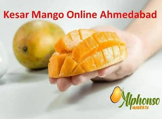 Buy Kesar Mango Online – Taste Gujarat's Saffron Gem - AlphonsoMango.in