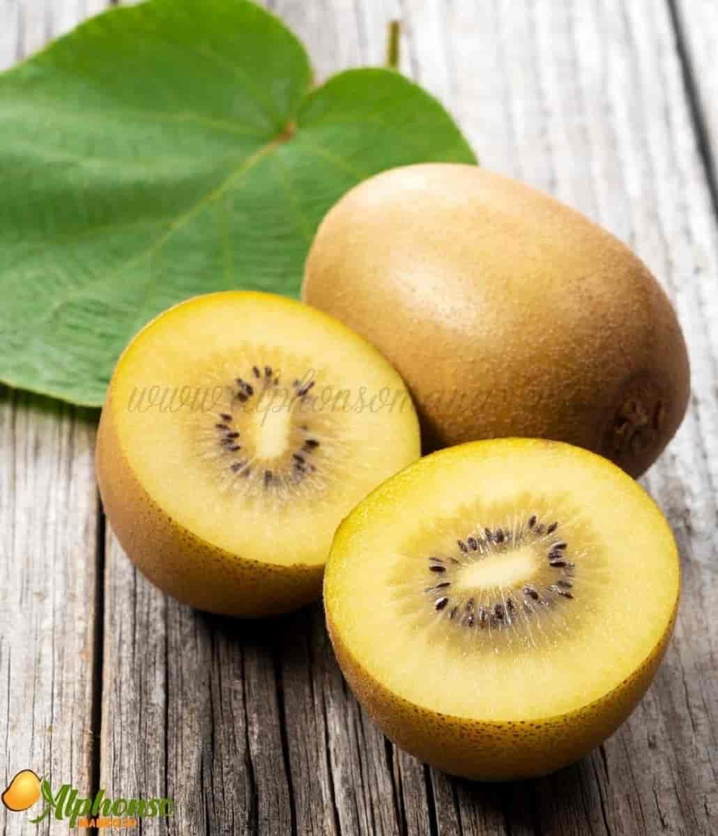 Buy Premium Golden Kiwi Online - AlphonsoMango.in