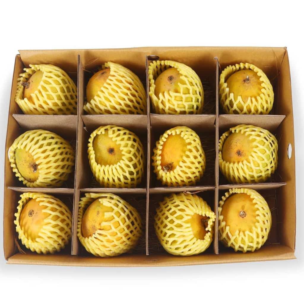 Buy Ratnagiri Hapus Mango Online - 1 Dozen | GI Tagged & Carbide Free - AlphonsoMango.in