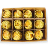 Buy Ratnagiri Hapus Mango Online - 1 Dozen | GI Tagged & Carbide Free - AlphonsoMango.in