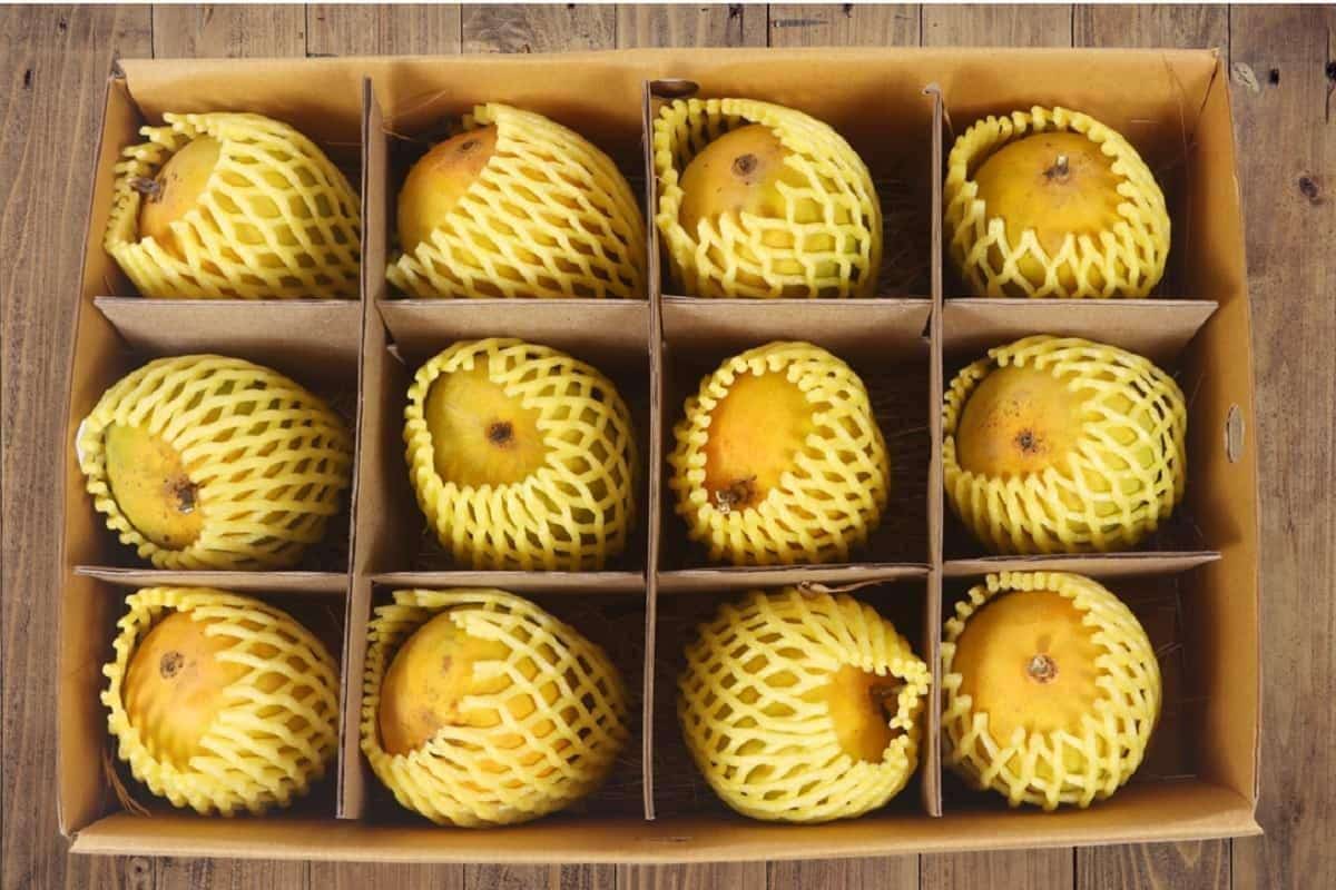 Buy 1 dozen Devgad Alphonso mango peti online. GI-tagged, naturally ripened Hapus delivered fresh.