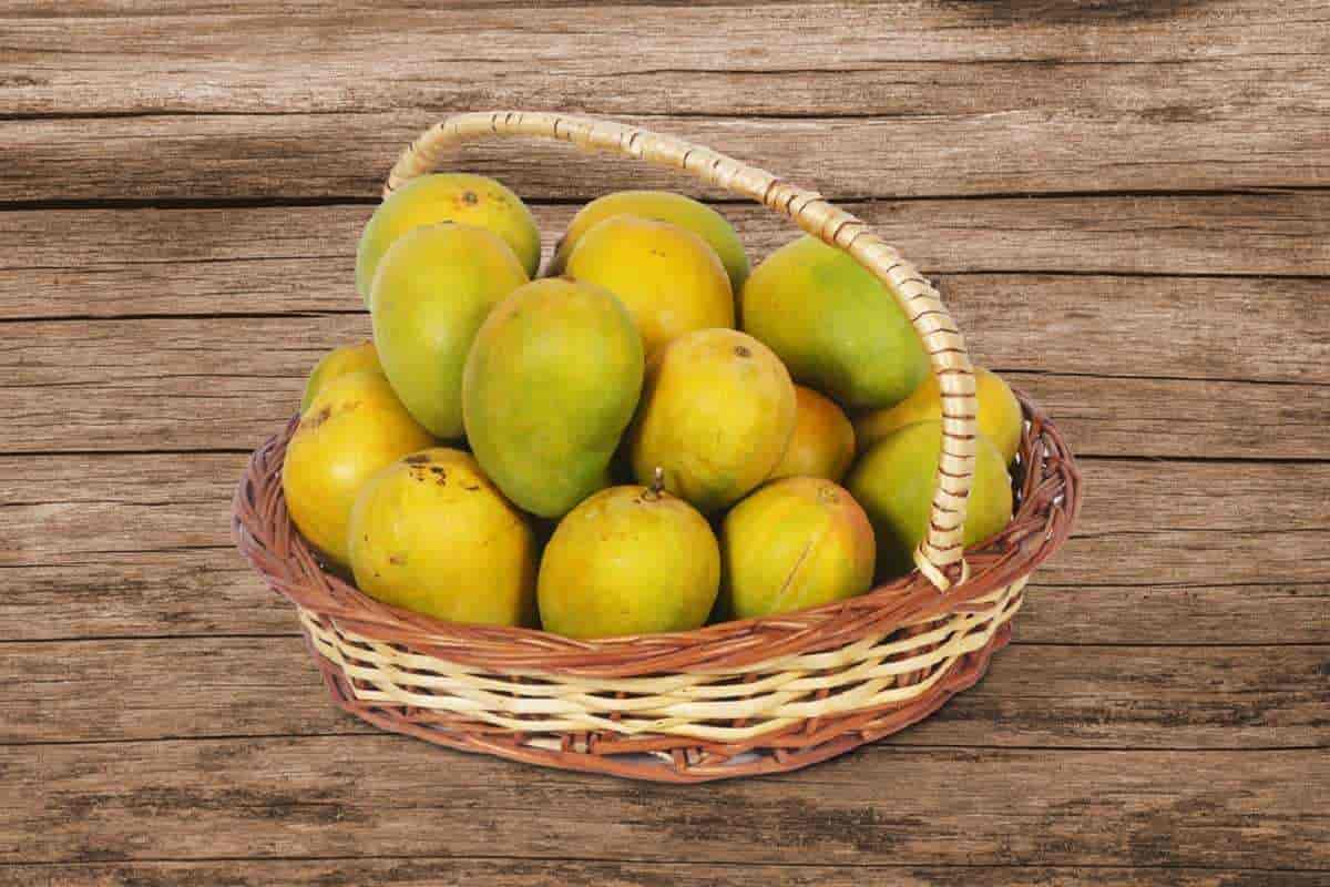 Buy1 dozen box of fresh Devgad Alphonso mangoes. GI-tagged, naturally ripened Hapus for home delivery.