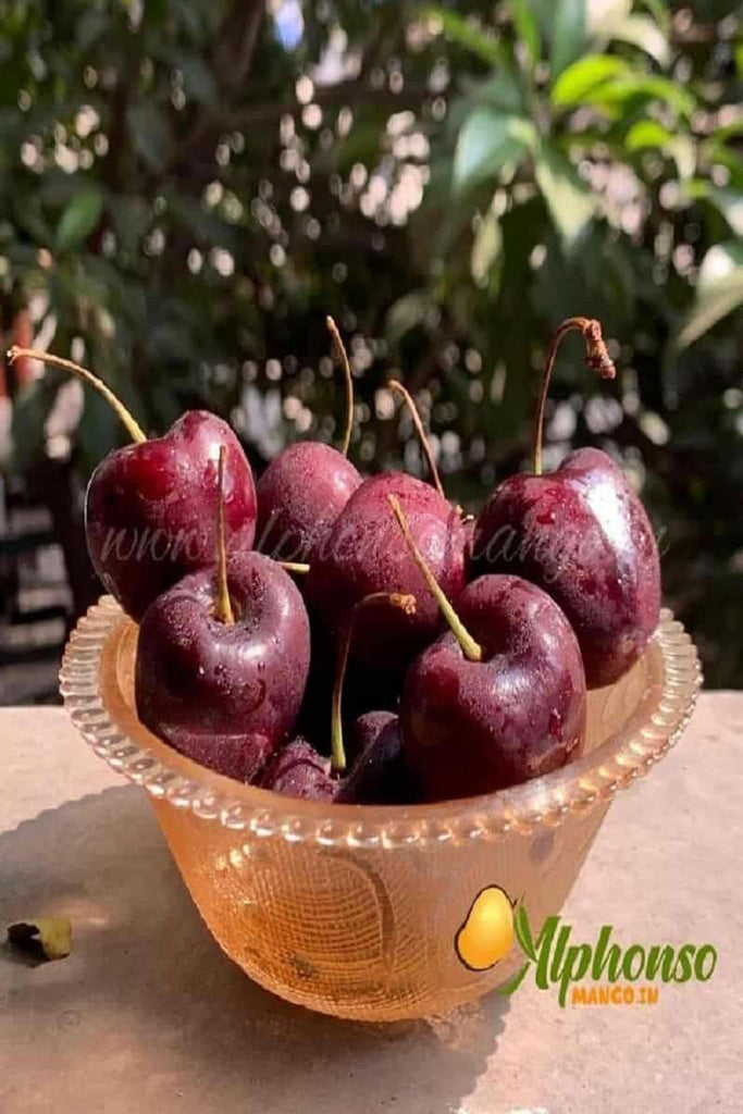 Imported Fresh Cherries online - Cherry Fruit - AlphonsoMango.in